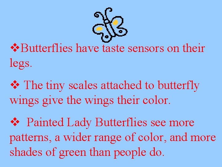 v. Butterflies have taste sensors on their legs. v The tiny scales attached to