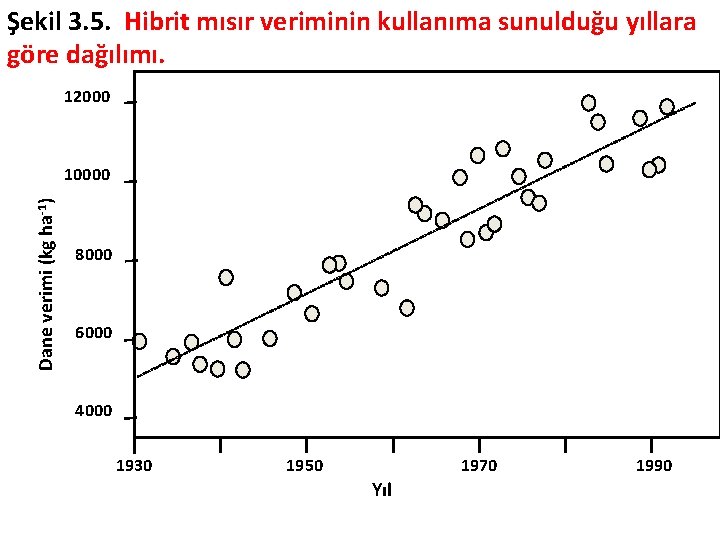 Şekil 3. 5. Hibrit mısır veriminin kullanıma sunulduğu yıllara göre dağılımı. 12000 Dane verimi