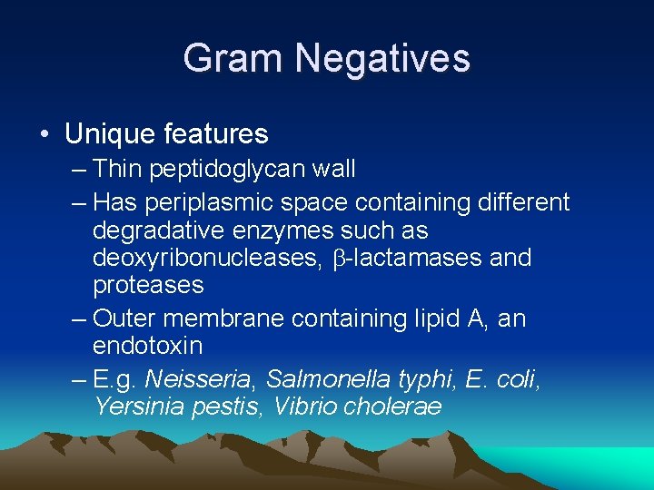 Gram Negatives • Unique features – Thin peptidoglycan wall – Has periplasmic space containing