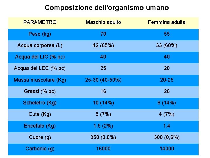 Composizione dell'organismo umanoano PARAMETRO Maschio adulto Femmina adulta Peso (kg) 70 55 Acqua corporea