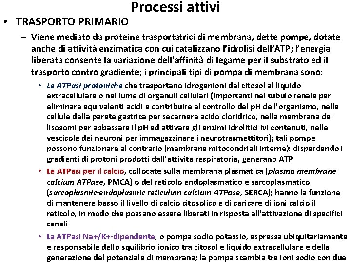  • TRASPORTO PRIMARIO Processi attivi – Viene mediato da proteine trasportatrici di membrana,