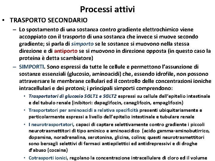 Processi attivi • TRASPORTO SECONDARIO – Lo spostamento di una sostanza contro gradiente elettrochimico