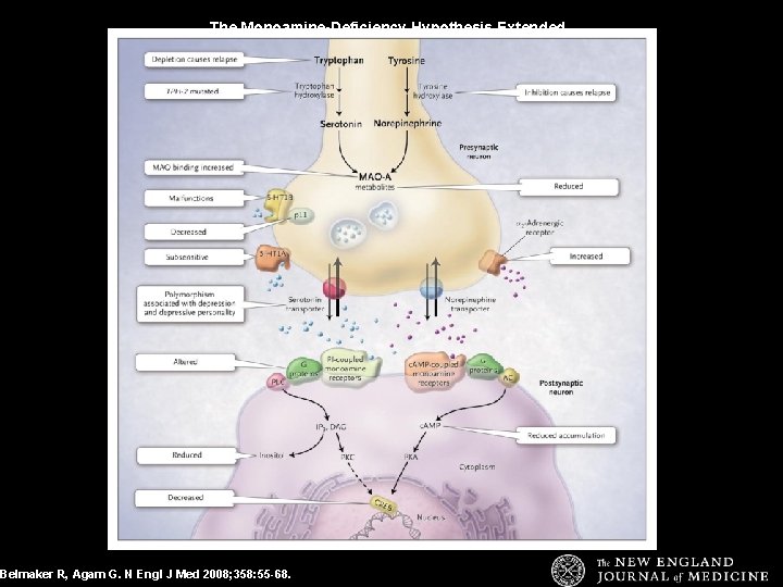 The Monoamine-Deficiency Hypothesis Extended. Belmaker R, Agam G. N Engl J Med 2008; 358: