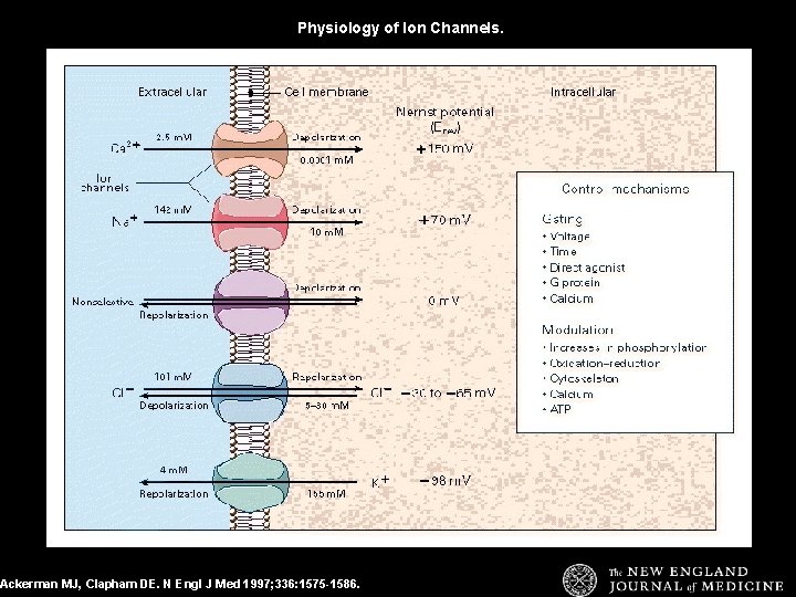 Physiology of Ion Channels. Ackerman MJ, Clapham DE. N Engl J Med 1997; 336: