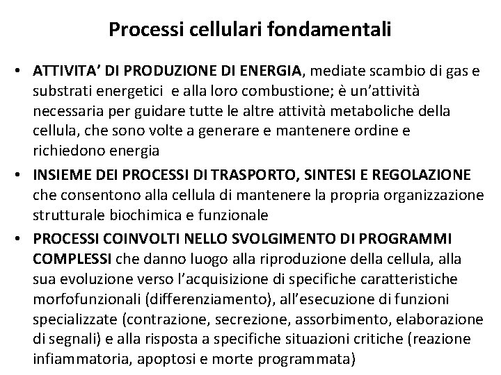Processi cellulari fondamentali • ATTIVITA’ DI PRODUZIONE DI ENERGIA, mediate scambio di gas e