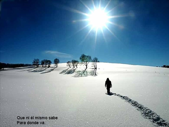 Que ni él mismo sabe Para donde va. Que ni él mismo sabe Para donde va.