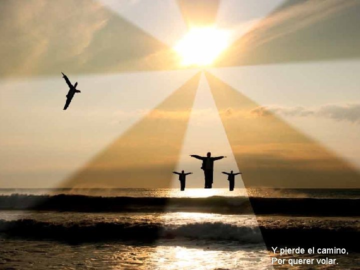Y pierde el camino, Por querer volar. Y pierde el camino, Por querer volar.