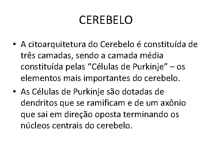 CEREBELO • A citoarquitetura do Cerebelo é constituída de três camadas, sendo a camada