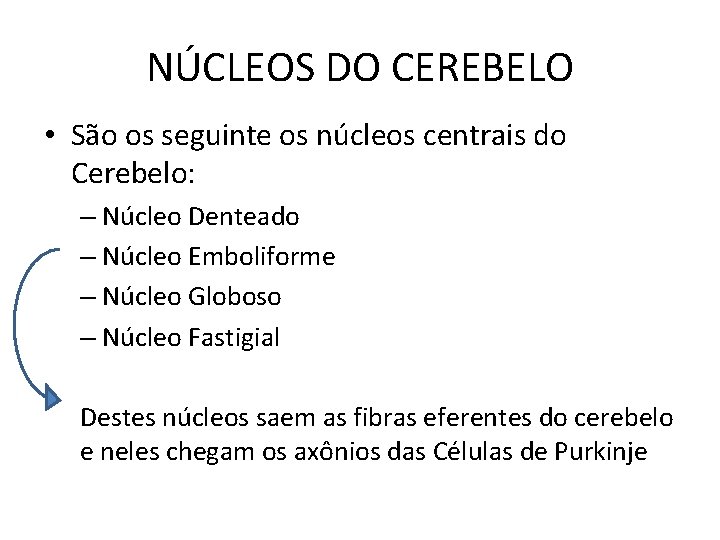 NÚCLEOS DO CEREBELO • São os seguinte os núcleos centrais do Cerebelo: – Núcleo