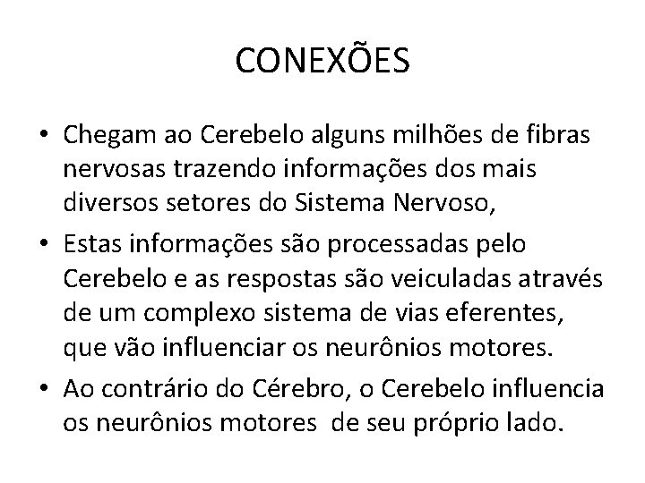 CONEXÕES • Chegam ao Cerebelo alguns milhões de fibras nervosas trazendo informações dos mais