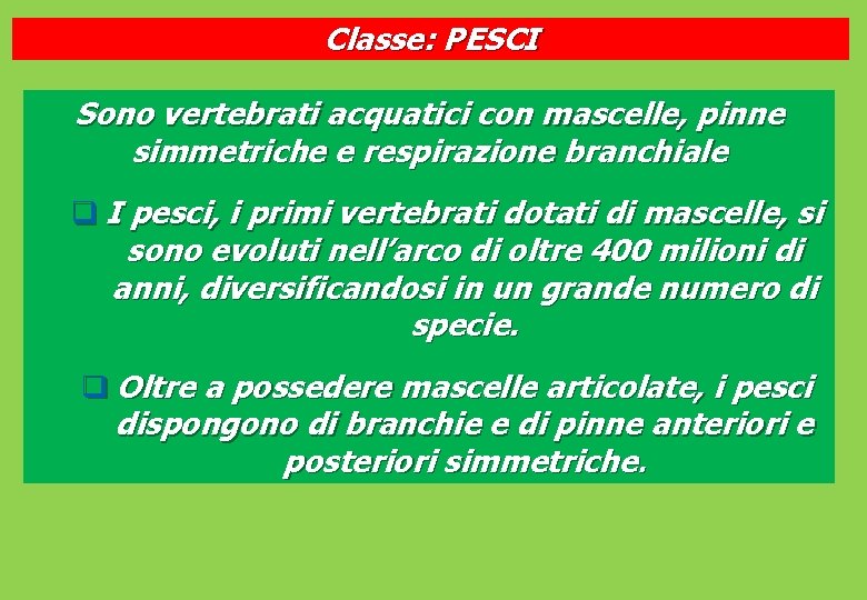 Classe: PESCI Sono vertebrati acquatici con mascelle, pinne simmetriche e respirazione branchiale q I