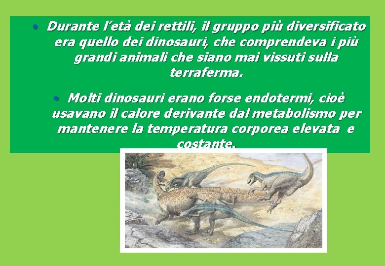  • Durante l’età dei rettili, il gruppo più diversificato era quello dei dinosauri,