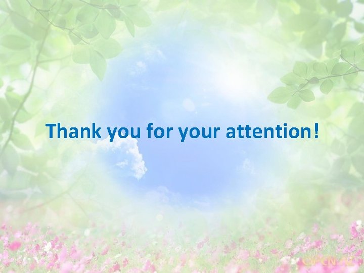 Thank you for your attention! 
