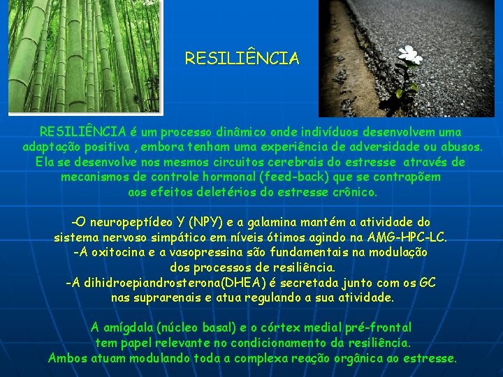 RESILIÊNCIA é um processo dinâmico onde indivíduos desenvolvem uma adaptação positiva , embora tenham