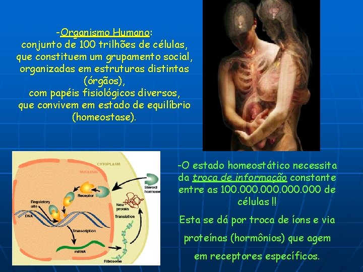 -Organismo Humano: Humano conjunto de 100 trilhões de células, que constituem um grupamento social,