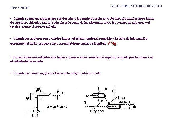 AREA NETA REQUERIMIENTOS DEL PROYECTO • Cuando se un angular por sus dos alas