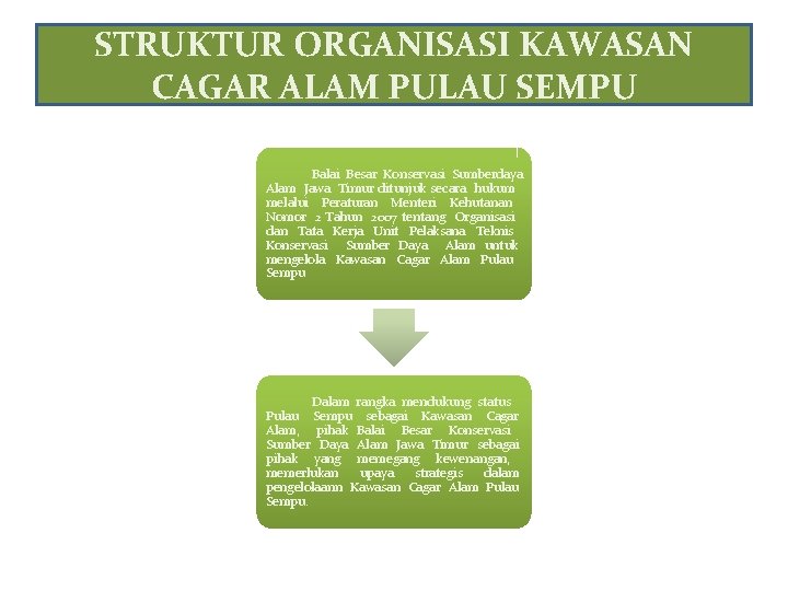 STRUKTUR ORGANISASI KAWASAN CAGAR ALAM PULAU SEMPU Balai Besar Konservasi Sumberdaya Alam Jawa Timur