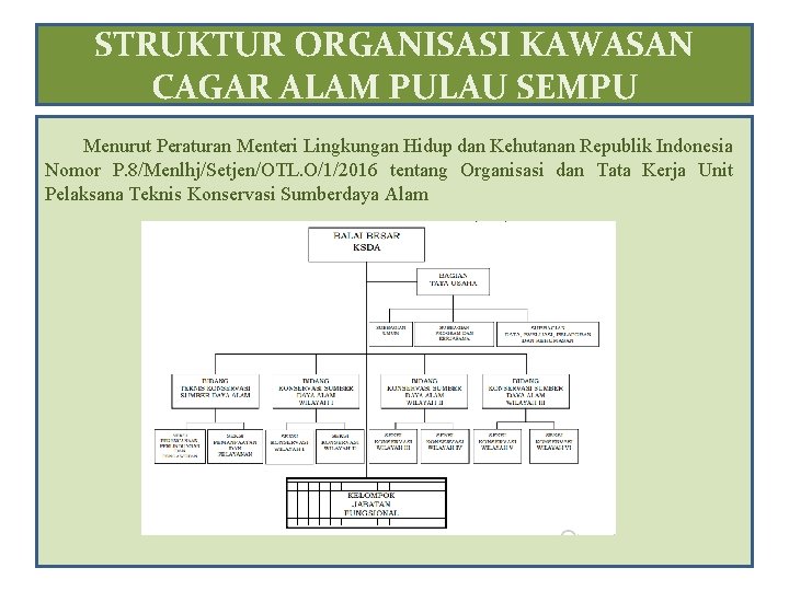 STRUKTUR ORGANISASI KAWASAN CAGAR ALAM PULAU SEMPU Menurut Peraturan Menteri Lingkungan Hidup dan Kehutanan