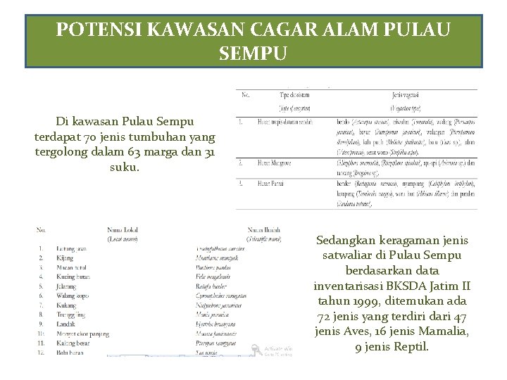 POTENSI KAWASAN CAGAR ALAM PULAU SEMPU Di kawasan Pulau Sempu terdapat 70 jenis tumbuhan