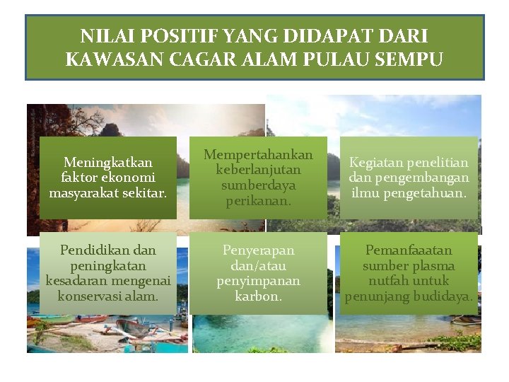 NILAI POSITIF YANG DIDAPAT DARI KAWASAN CAGAR ALAM PULAU SEMPU Meningkatkan faktor ekonomi masyarakat