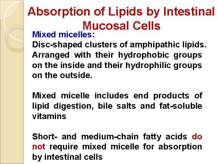 Absorption of Lipids by Intestinal Mucosal Cells Mixed micelles: Disc-shaped clusters of amphipathic lipids.