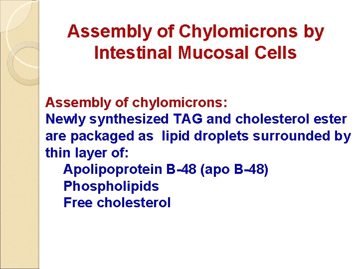 Assembly of Chylomicrons by Intestinal Mucosal Cells Assembly of chylomicrons: Newly synthesized TAG and