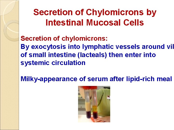 Secretion of Chylomicrons by Intestinal Mucosal Cells Secretion of chylomicrons: By exocytosis into lymphatic