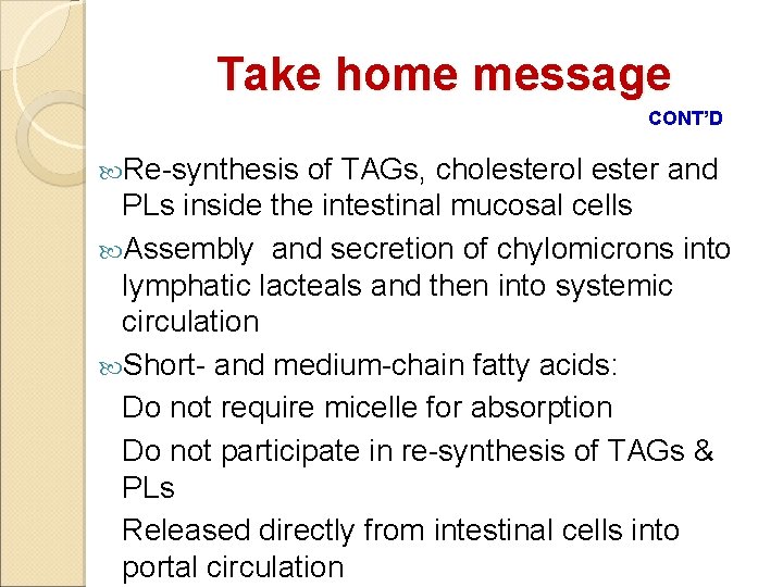 Take home message CONT’D Re-synthesis of TAGs, cholesterol ester and PLs inside the intestinal