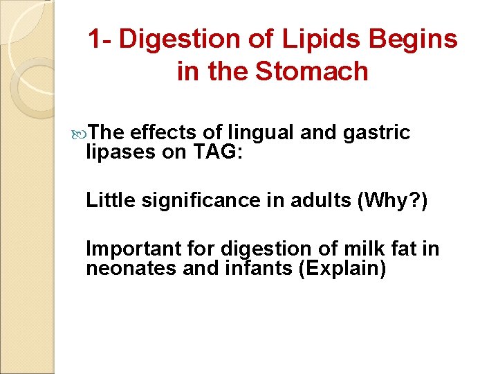 1 - Digestion of Lipids Begins in the Stomach The effects of lingual and