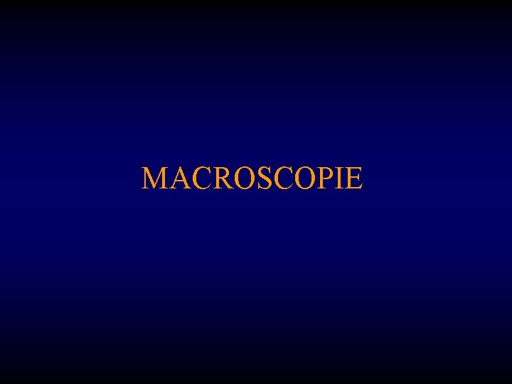 MACROSCOPIE 