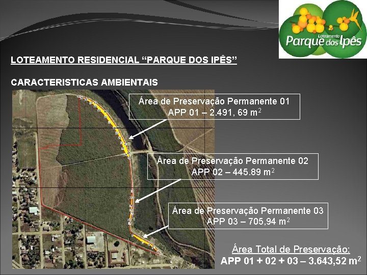 LOTEAMENTO RESIDENCIAL “PARQUE DOS IPÊS” CARACTERISTICAS AMBIENTAIS Área de Preservação Permanente 01 APP 01