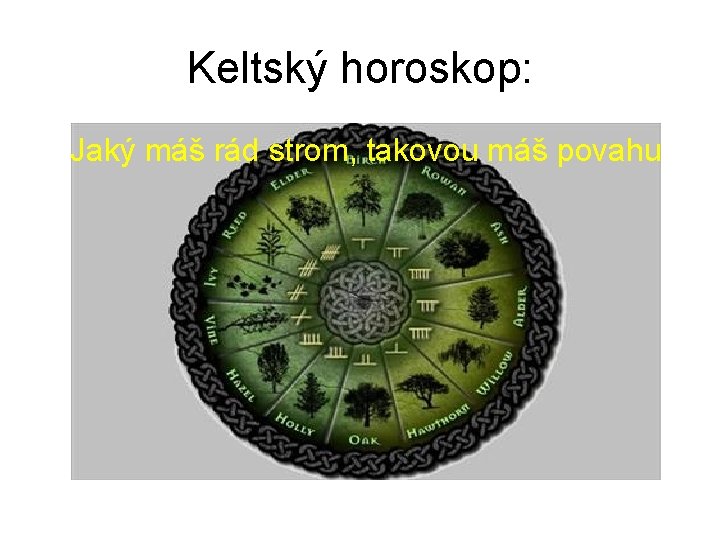 Keltský horoskop: Jaký máš rád strom, takovou máš povahu 
