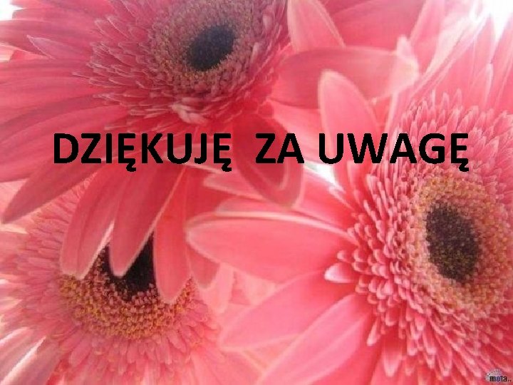 DZIĘKUJĘ ZA UWAGĘ 