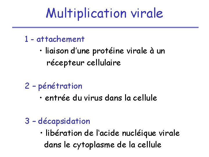 Multiplication virale 1 - attachement • liaison d’une protéine virale à un récepteur cellulaire