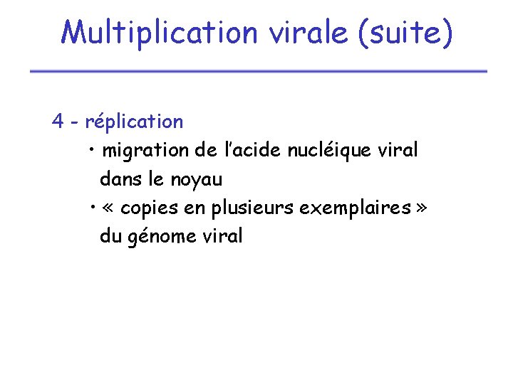 Multiplication virale (suite) 4 - réplication • migration de l’acide nucléique viral dans le