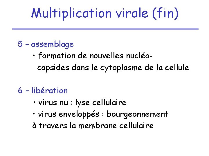 Multiplication virale (fin) 5 – assemblage • formation de nouvelles nucléocapsides dans le cytoplasme