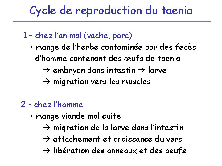 Cycle de reproduction du taenia 1 – chez l’animal (vache, porc) • mange de