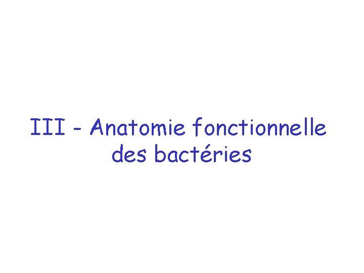 III - Anatomie fonctionnelle des bactéries 