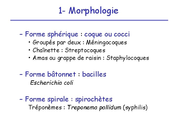 1 - Morphologie – Forme sphérique : coque ou cocci • Groupés par deux