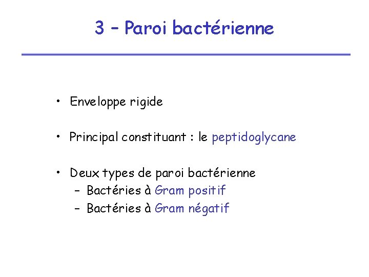 3 – Paroi bactérienne • Enveloppe rigide • Principal constituant : le peptidoglycane •