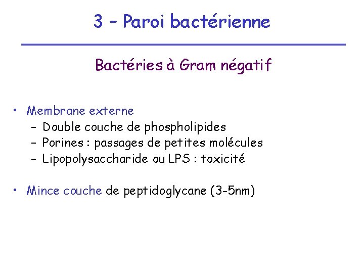 3 – Paroi bactérienne Bactéries à Gram négatif • Membrane externe – Double couche