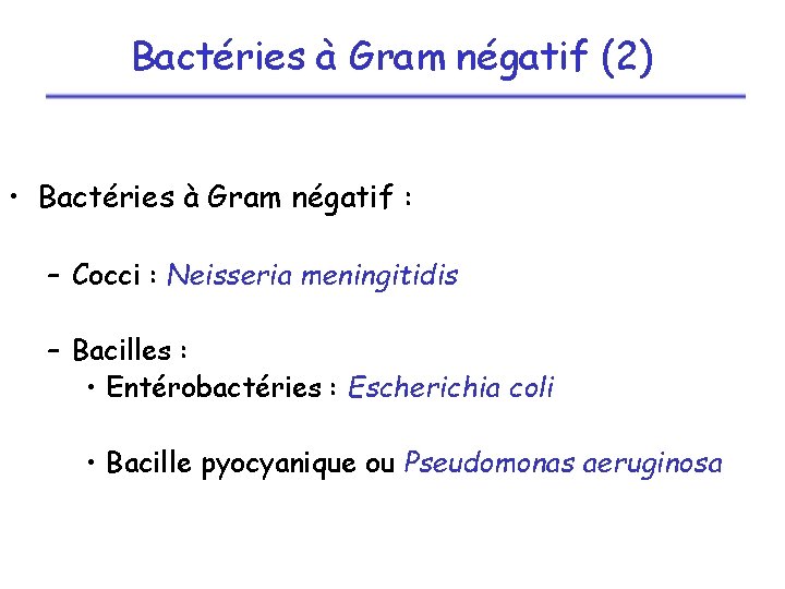 Bactéries à Gram négatif (2) • Bactéries à Gram négatif : – Cocci :