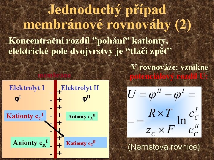 Jednoduchý případ membránové rovnováhy (2) Koncentrační rozdíl ”pohání” kationty, elektrické pole dvojvrstvy je “tlačí