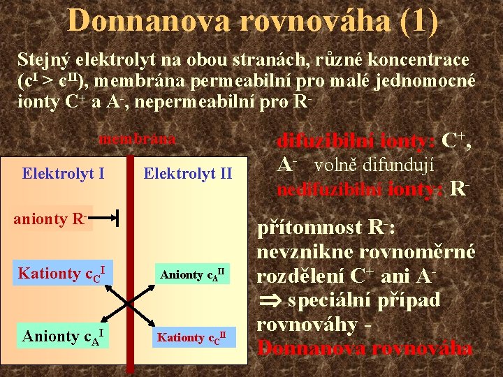 Donnanova rovnováha (1) Stejný elektrolyt na obou stranách, různé koncentrace (c. I > c.