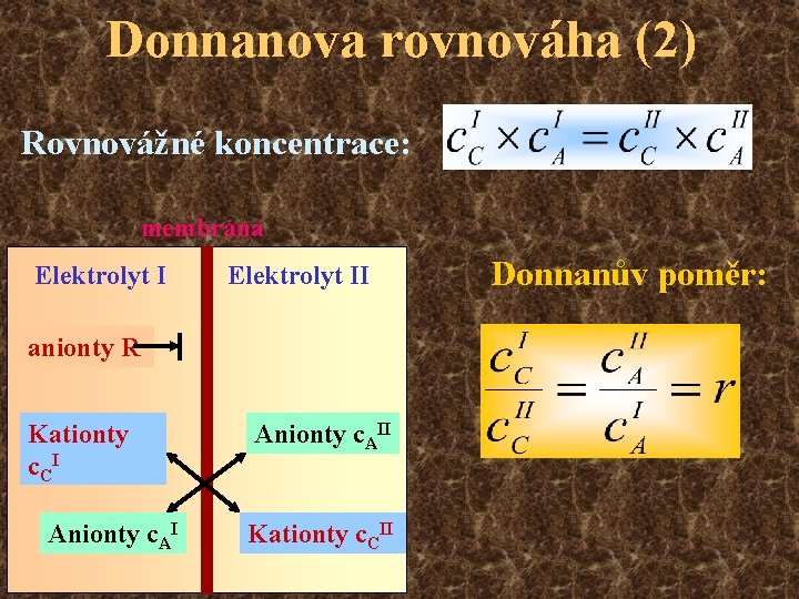 Donnanova rovnováha (2) Rovnovážné koncentrace: membrána Elektrolyt II anionty RKationty c CI Anionty c.