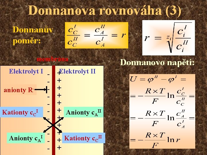 Donnanova rovnováha (3) Donnanův poměr: membrána Elektrolyt I anionty RKationty c. CI I Anionty