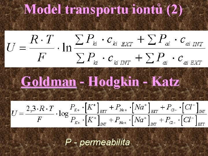 Model transportu iontů (2) Goldman - Hodgkin - Katz P - permeabilita 