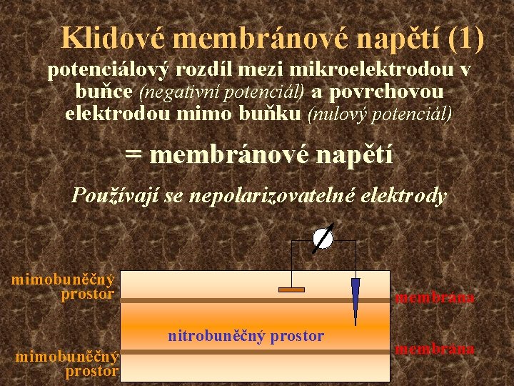 Klidové membránové napětí (1) potenciálový rozdíl mezi mikroelektrodou v buňce (negativní potenciál) a povrchovou