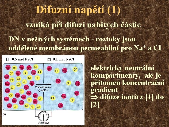 Difuzní napětí (1) vzniká při difuzi nabitých částic DN v neživých systémech - roztoky