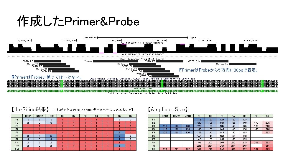 作成したPrimer&Probe FPrimerはProbeから5’方向に 30 bpで設定。 RPrimerはProbeに被ってはいけない。 【 In-Silico結果】 　 F 1 F 2 F 3